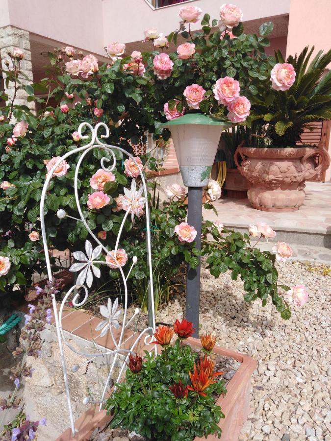 The Roses Garden Bed & Breakfast ลามัดดาเลนา ภายนอก รูปภาพ