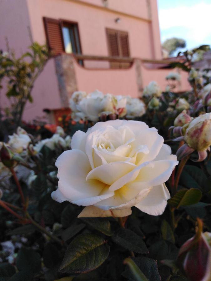 The Roses Garden Bed & Breakfast ลามัดดาเลนา ภายนอก รูปภาพ