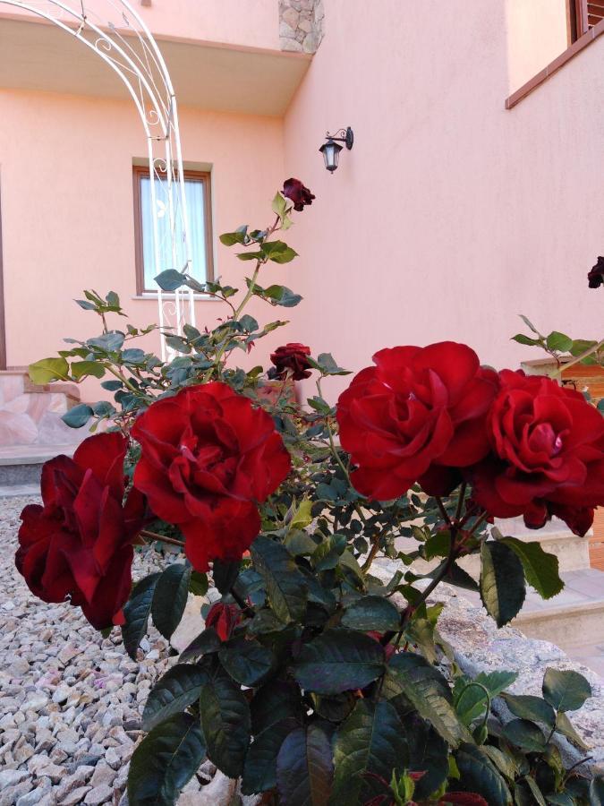 The Roses Garden Bed & Breakfast ลามัดดาเลนา ภายนอก รูปภาพ
